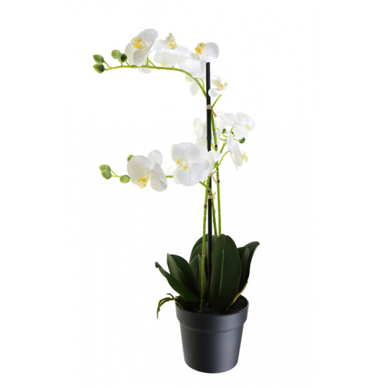 Selyemvirág Phalaenopsis 65cm 3ág cserepes fehér