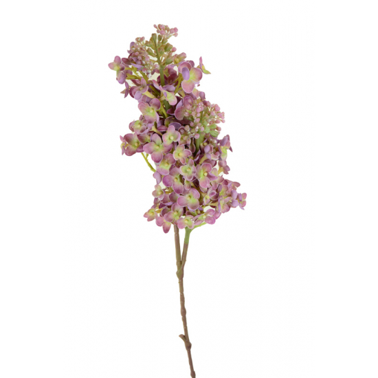 Selyemvirág szálas orgona 75cm mályva