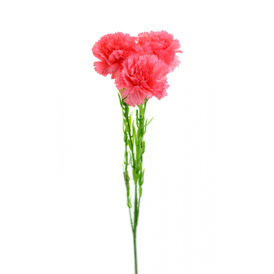 Selyemvirág szálas szegfű 60cm rózsaszín