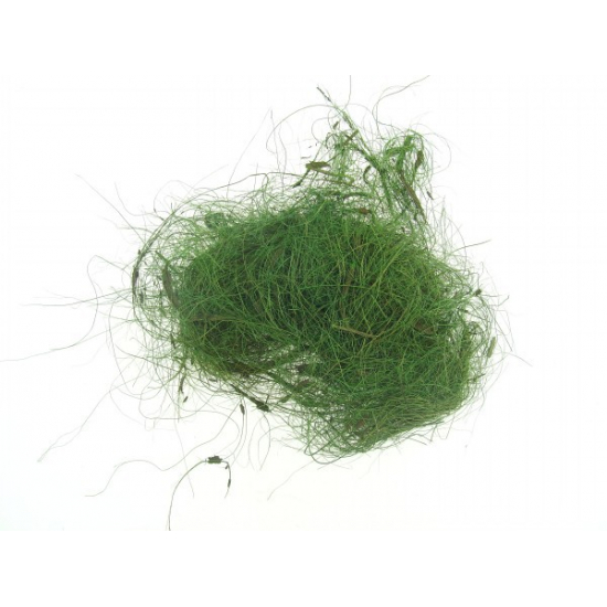 Sisal szál 5kg zöld