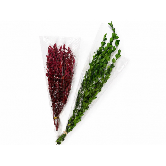 Szárazvirág buxus 40-50cm piros/zöld