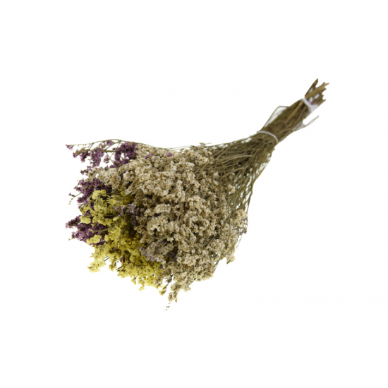 Szárazvirág Limonium csokor 65x22x10cm színes