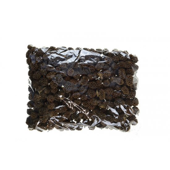 Termés Casurina 30dkg natúr