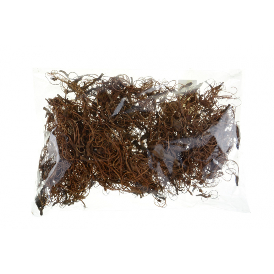 Termés Curly Moss 10dkg natúr