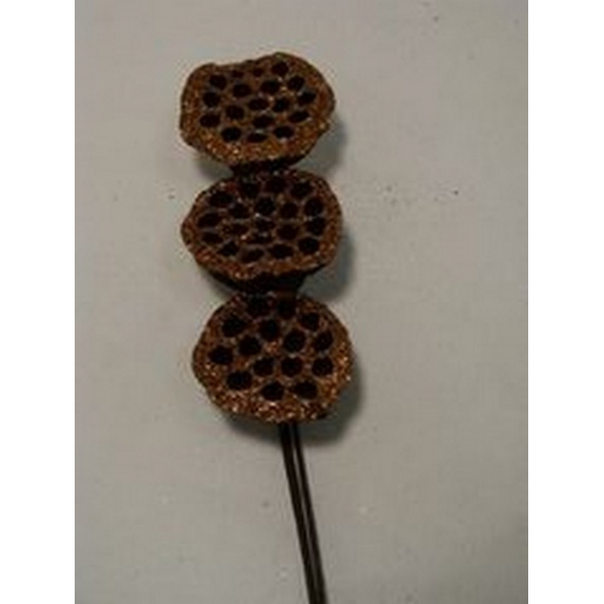 Termés lótusz 45cm s/3 glitteres barna