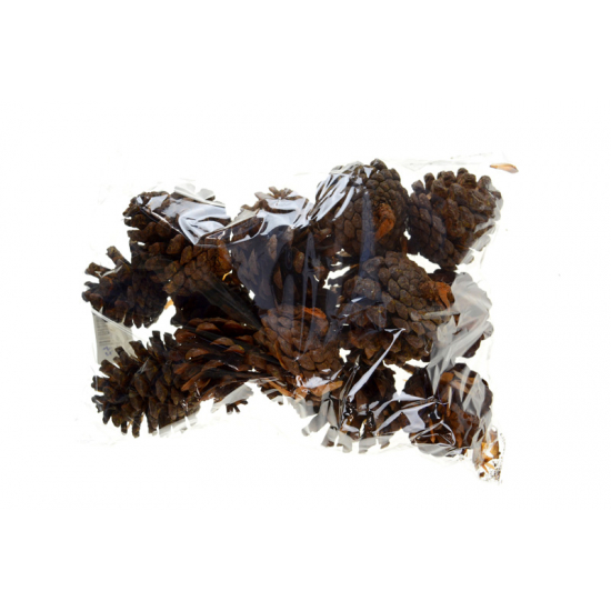 Termés Midi Pine 30 dkg narancs