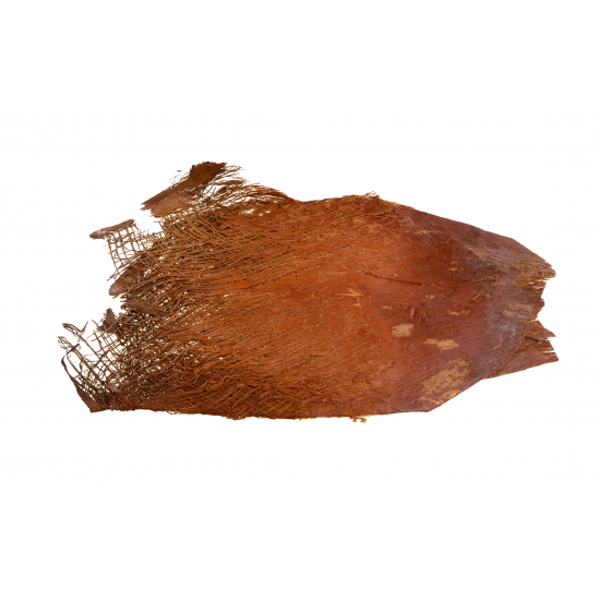 Termés Palm Fibre/Net 30 dkg natúr
