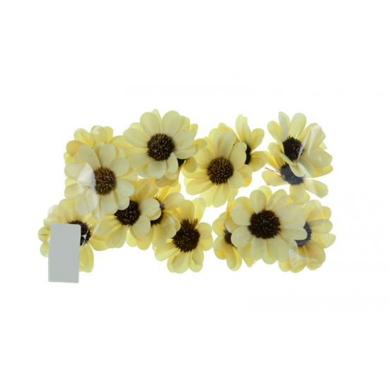 Termés Palm Sunny 6cm s/15 fehérített