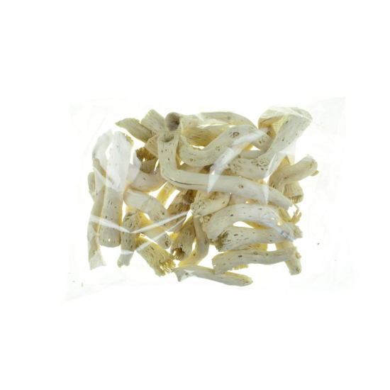 Termés Pepe Cone (8-12cm) s/30 fehérített