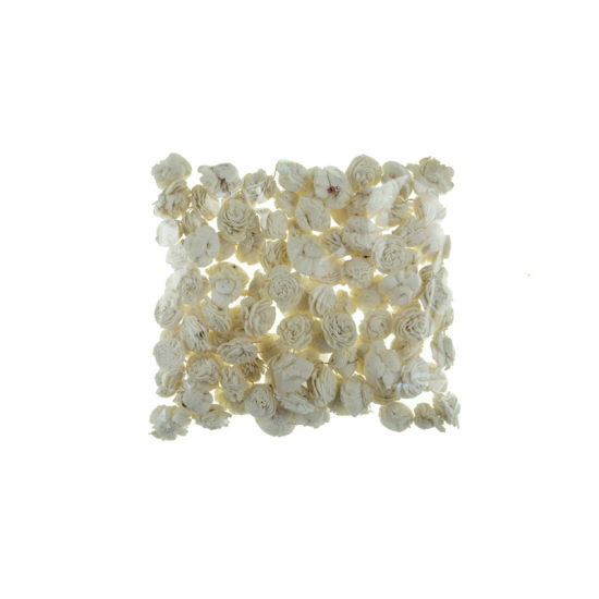Termés Sola Beli 2cm s/100 natúr