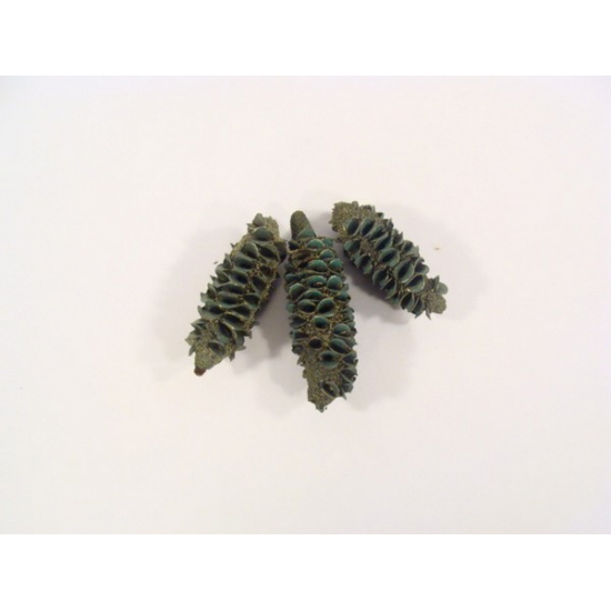 Termés vegyes 400Ft-os