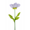 Selyemvirág Menyecskeszem szálas 105cm lila